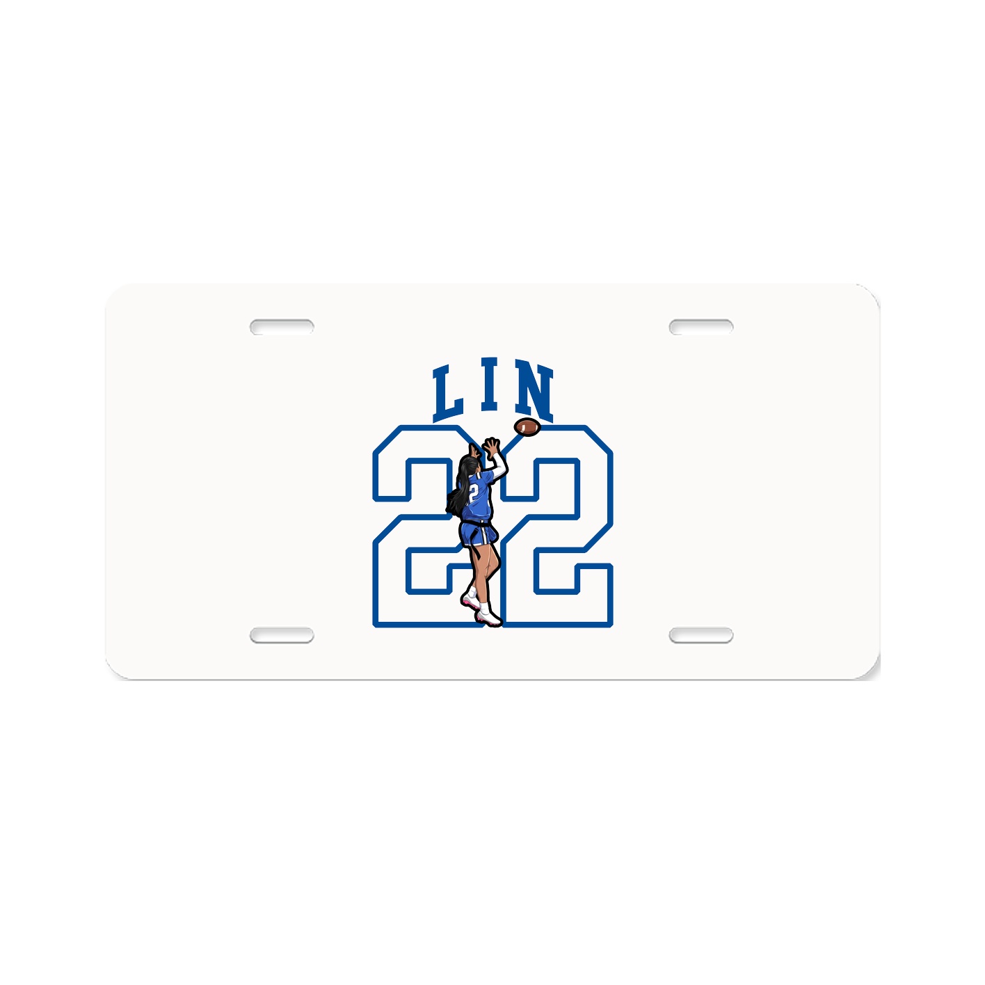 Aluminum License Plate