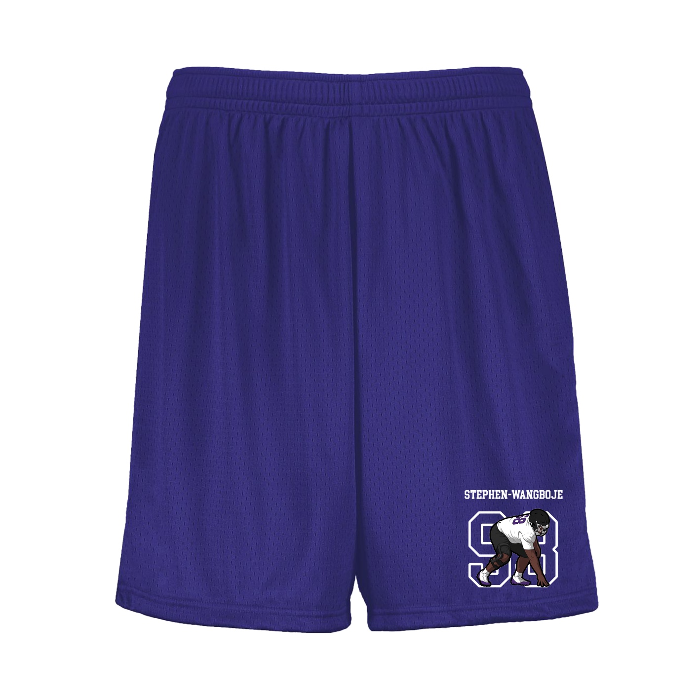 Shorts — Shirsey in Purple