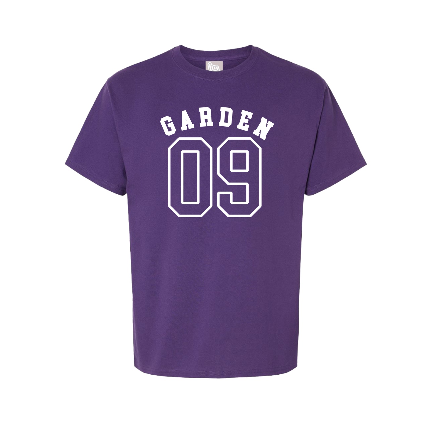 Youth Tee — Shirsey Arch in Purple