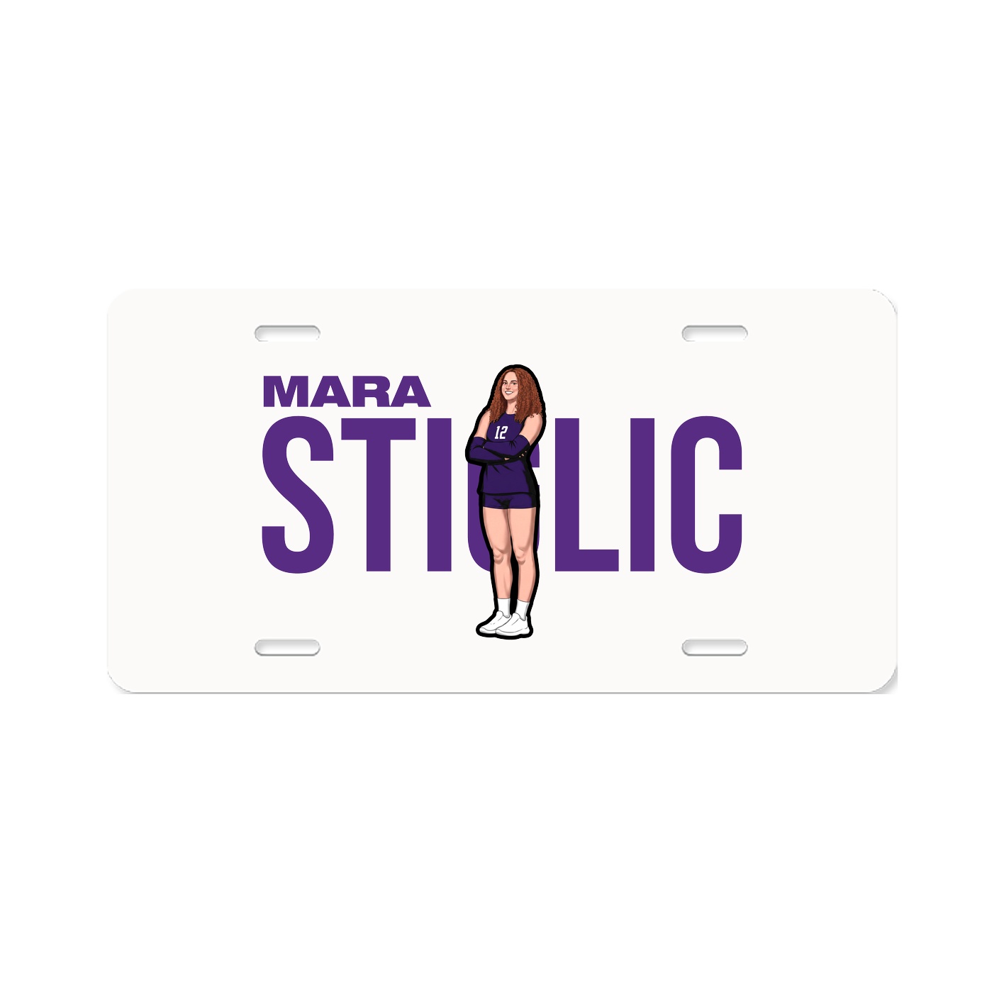 License Plate