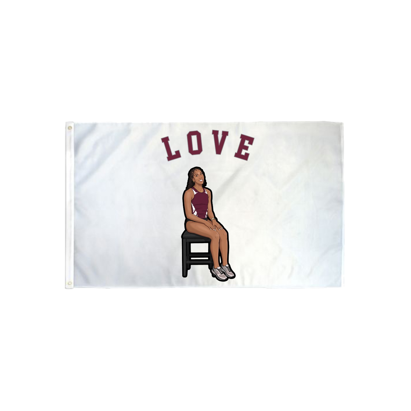 3x5 Flag — Shirsey Arch in Classic