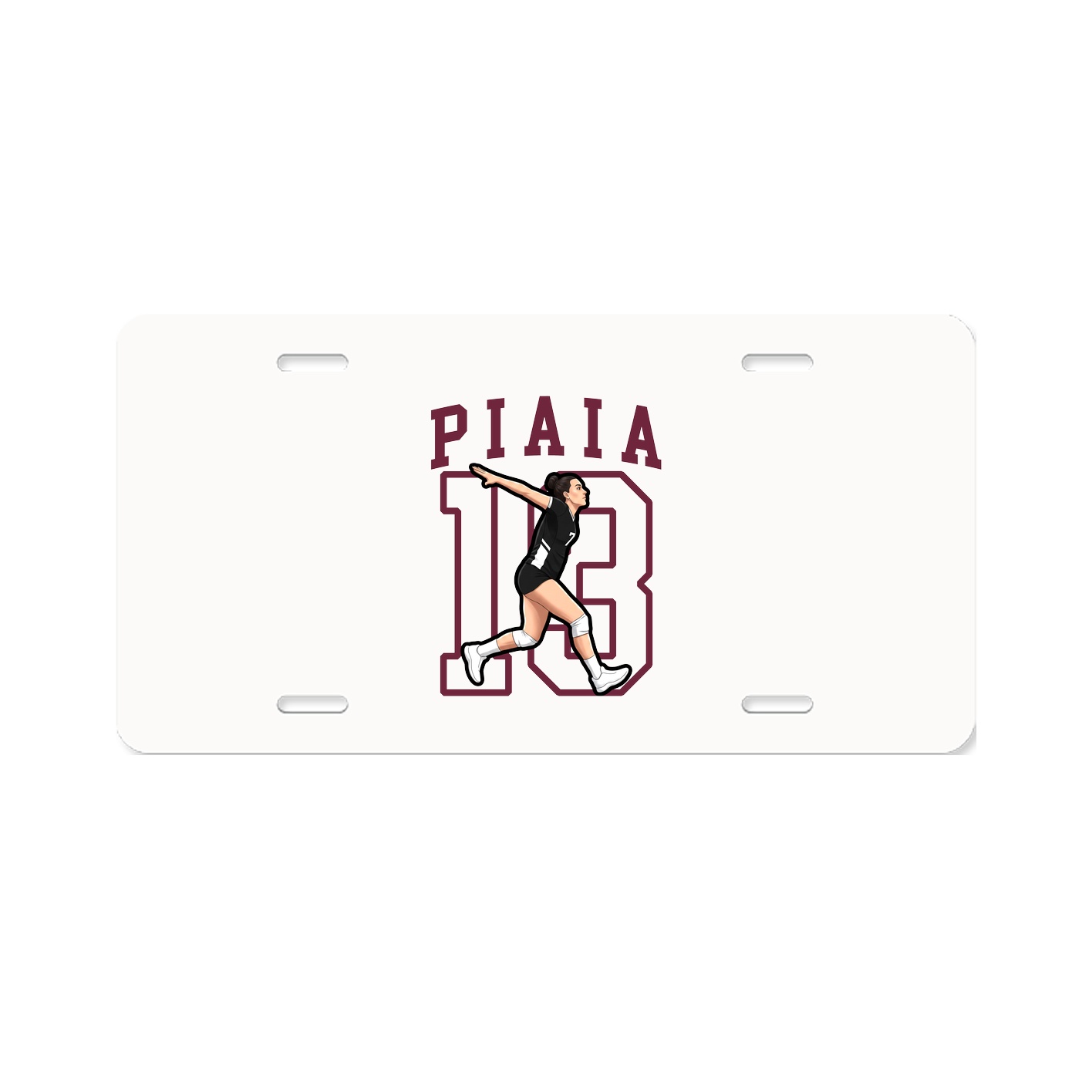 Aluminum License Plate