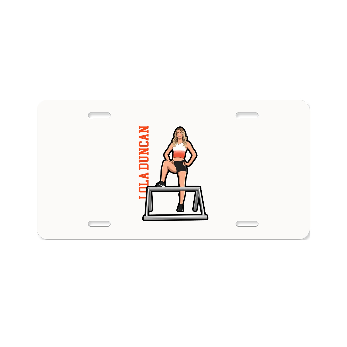 Aluminum License Plate