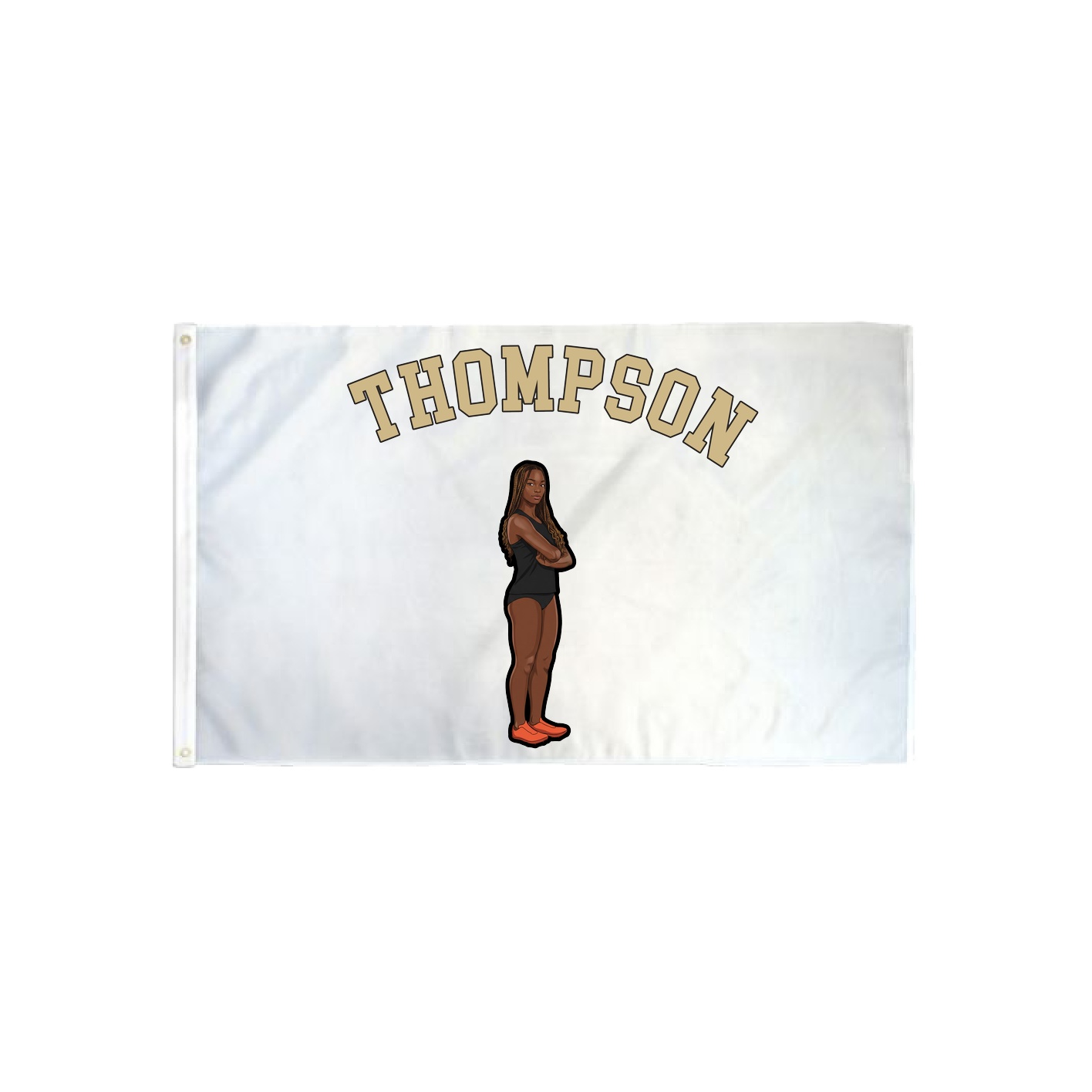 3x5 Flag — Shirsey Arch in Classic