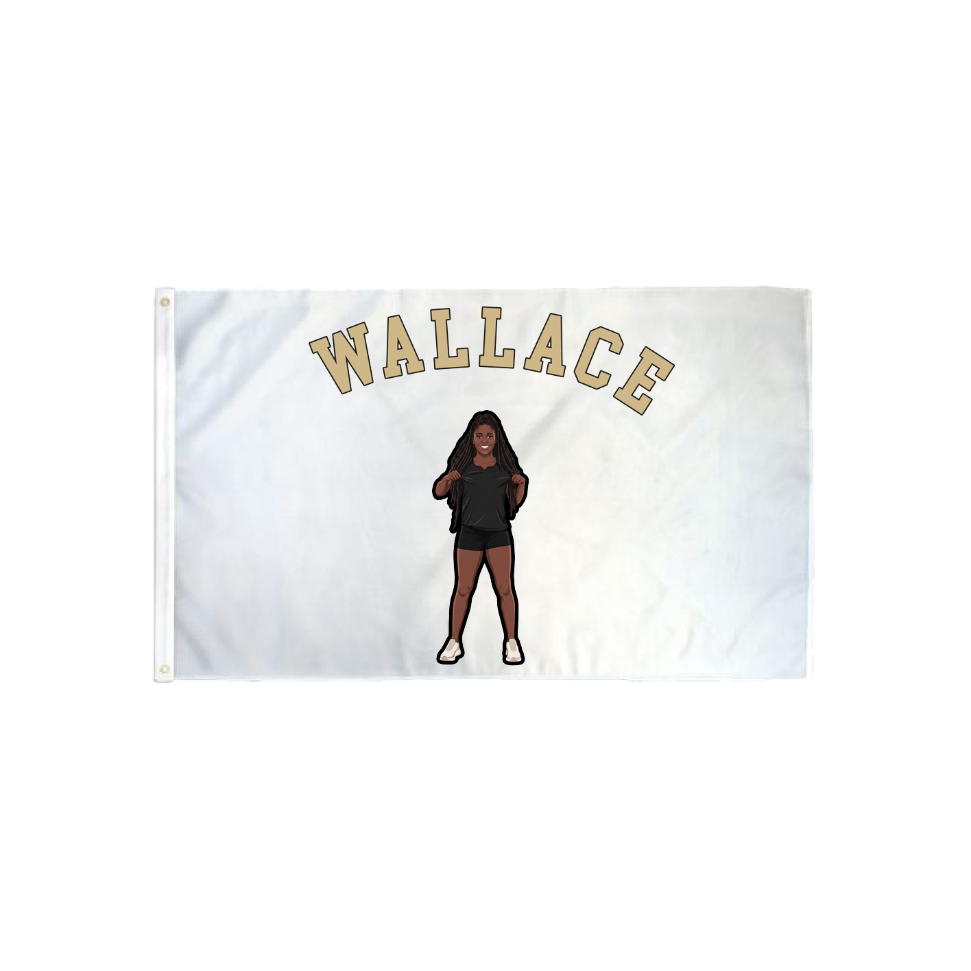 3x5 Flag — Shirsey Arch in Classic