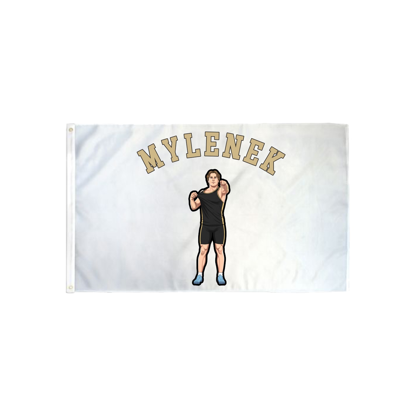 3x5 Flag — Shirsey Arch in Classic
