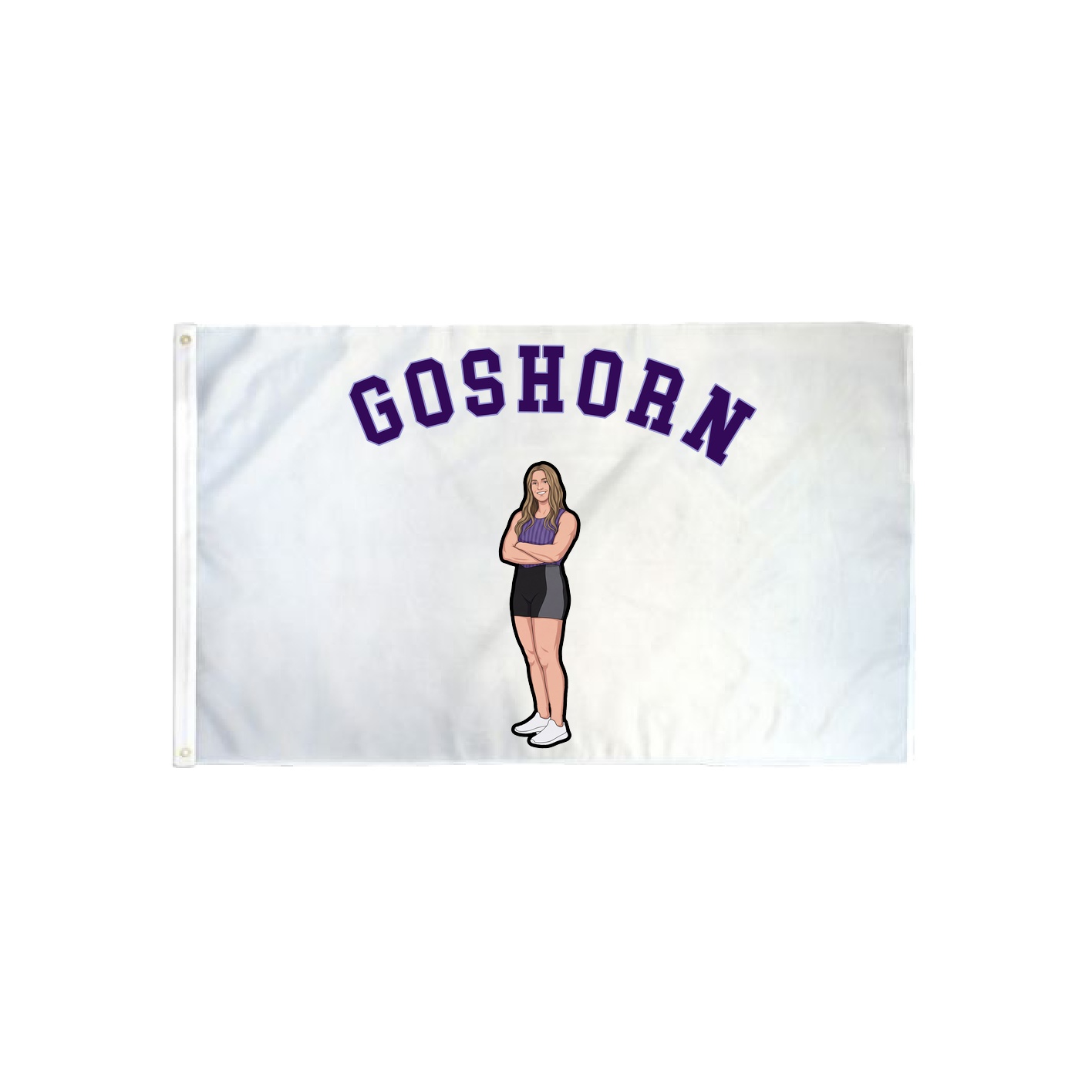 3x5 Flag — Shirsey Arch in Classic