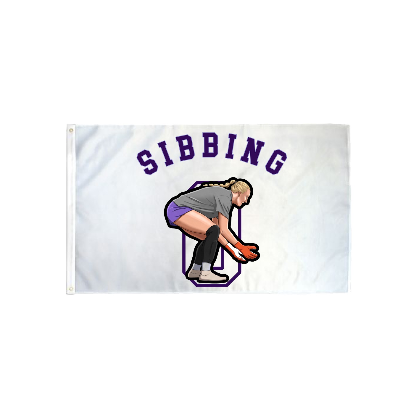 3x5 Flag — Shirsey Arch in Classic