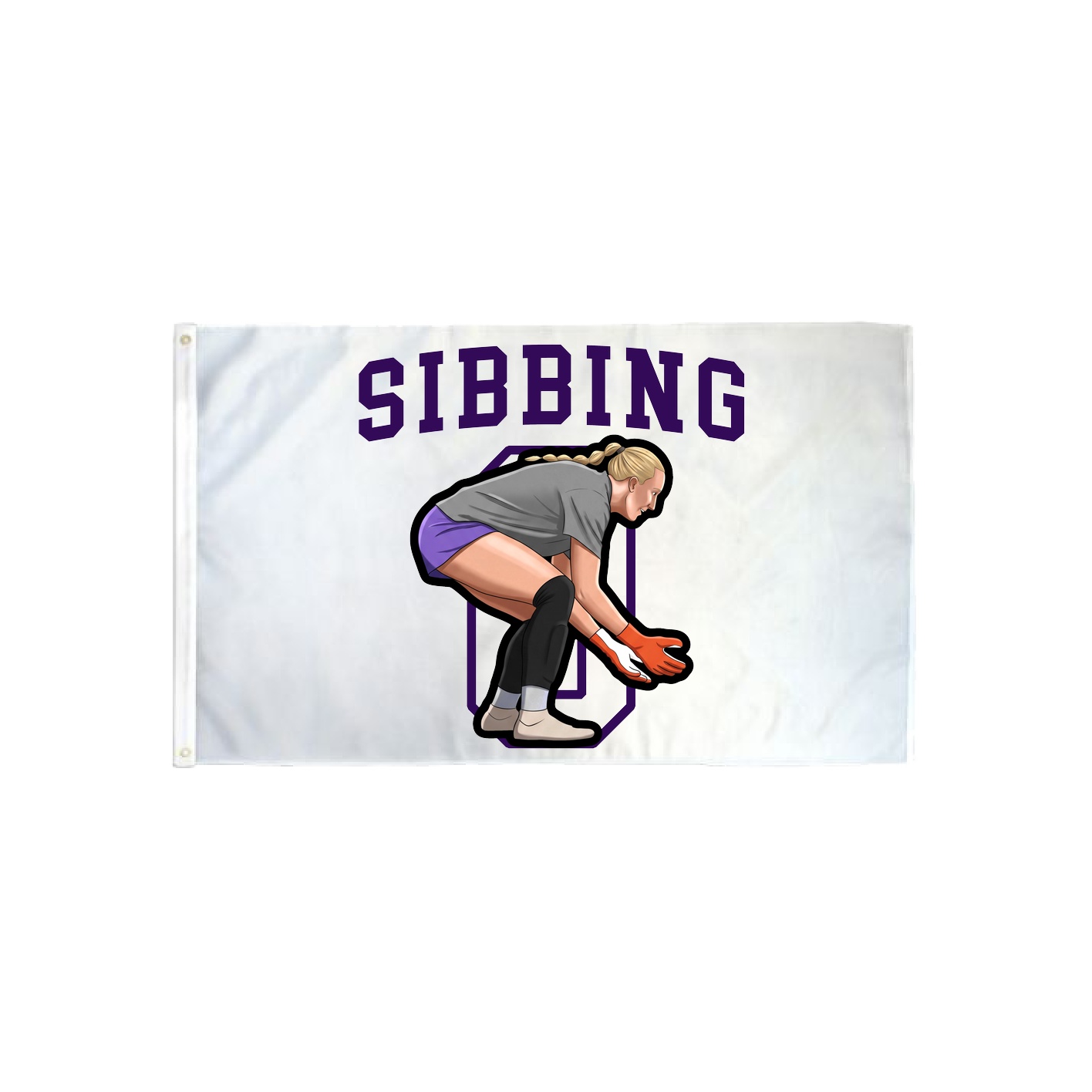 3x5 Flag — Shirsey in Classic