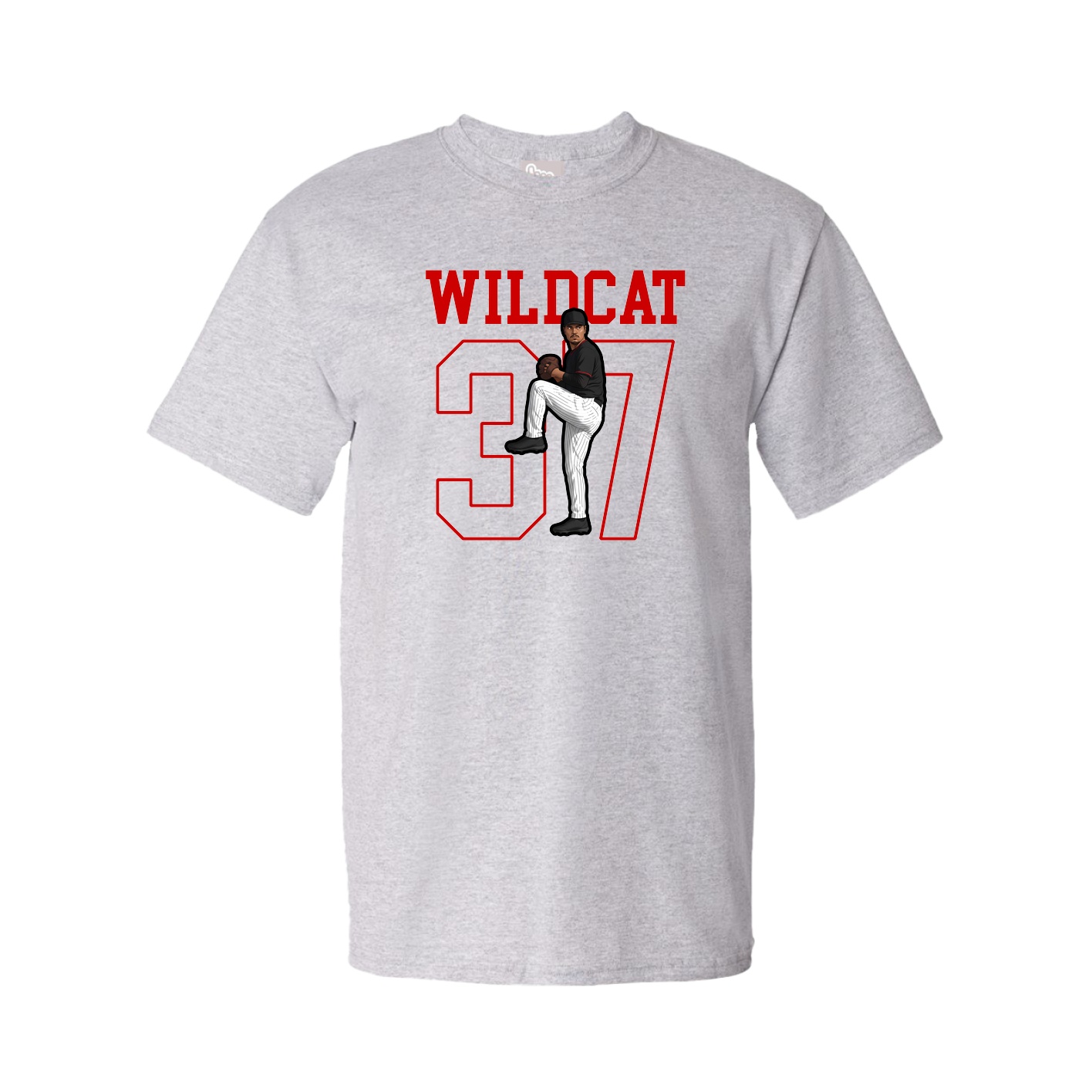 Youth Tee — Shirsey in Grey