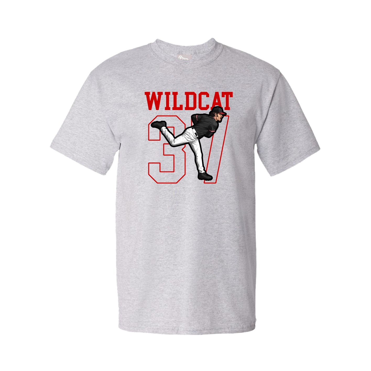Youth Tee — Shirsey in Grey