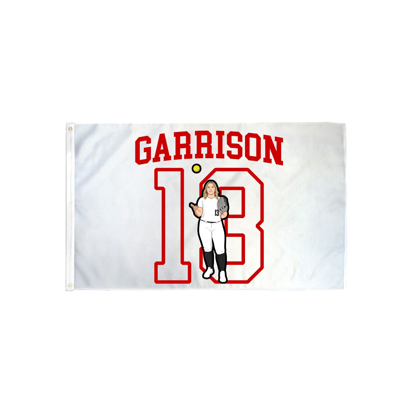 3x5 Flag — Shirsey in Classic