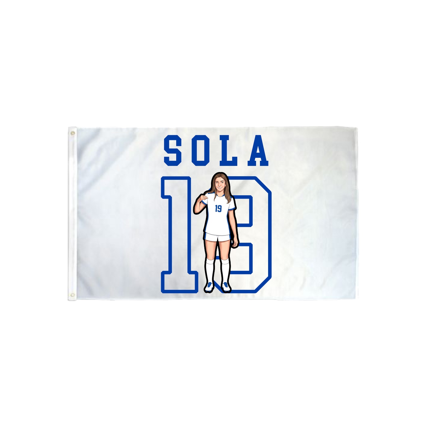 3x5 Flag — Shirsey in Classic