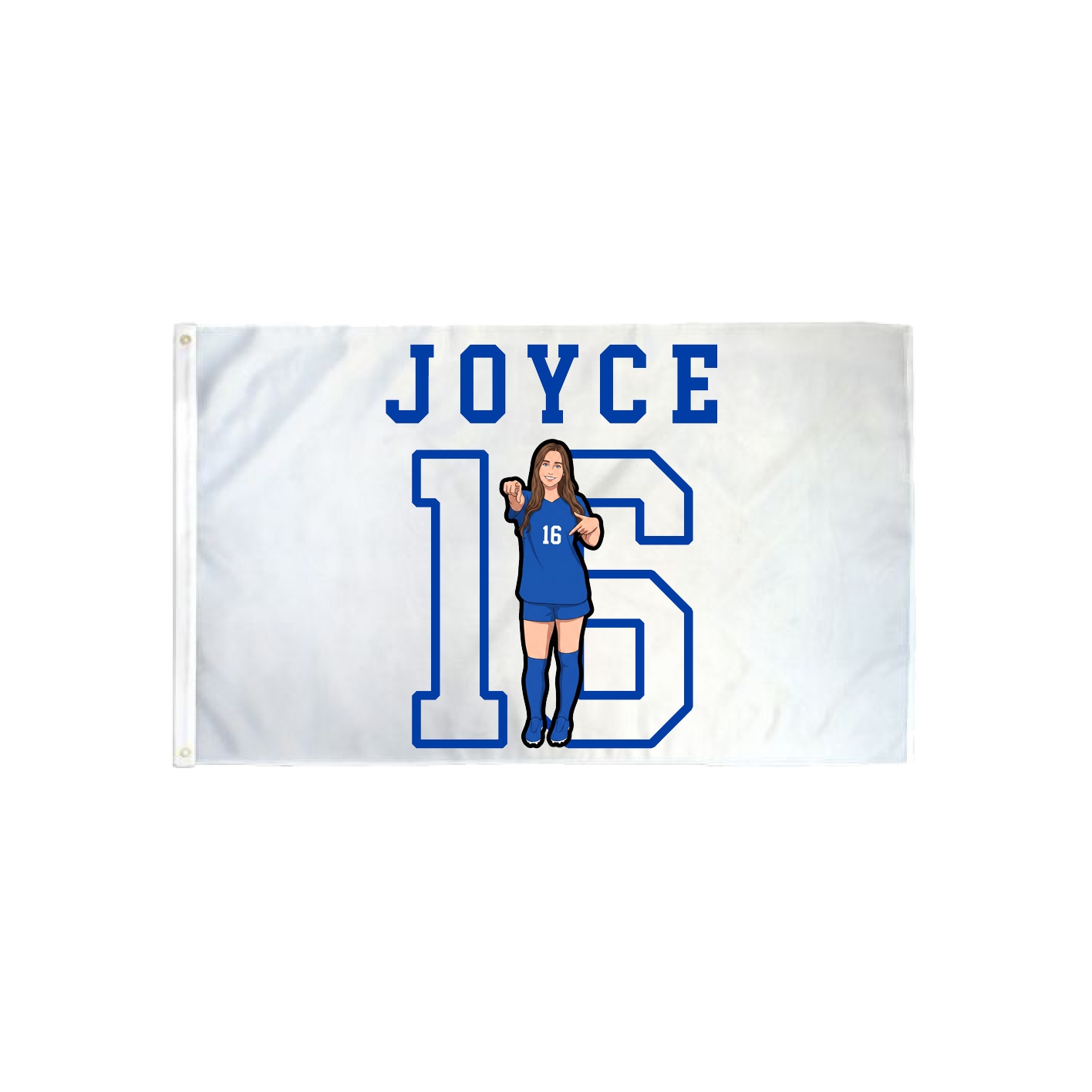 3x5 Flag — Shirsey in Classic