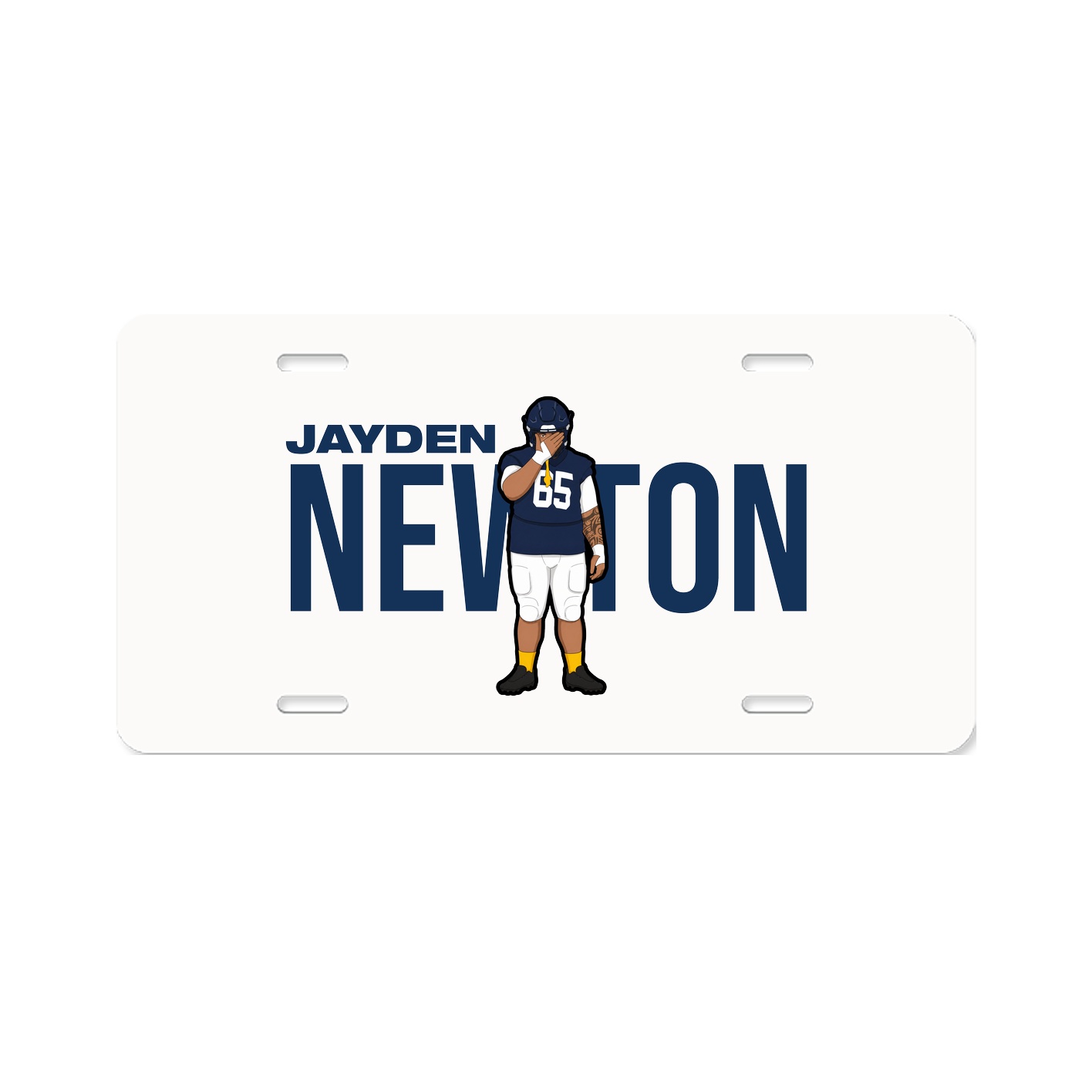 License Plate
