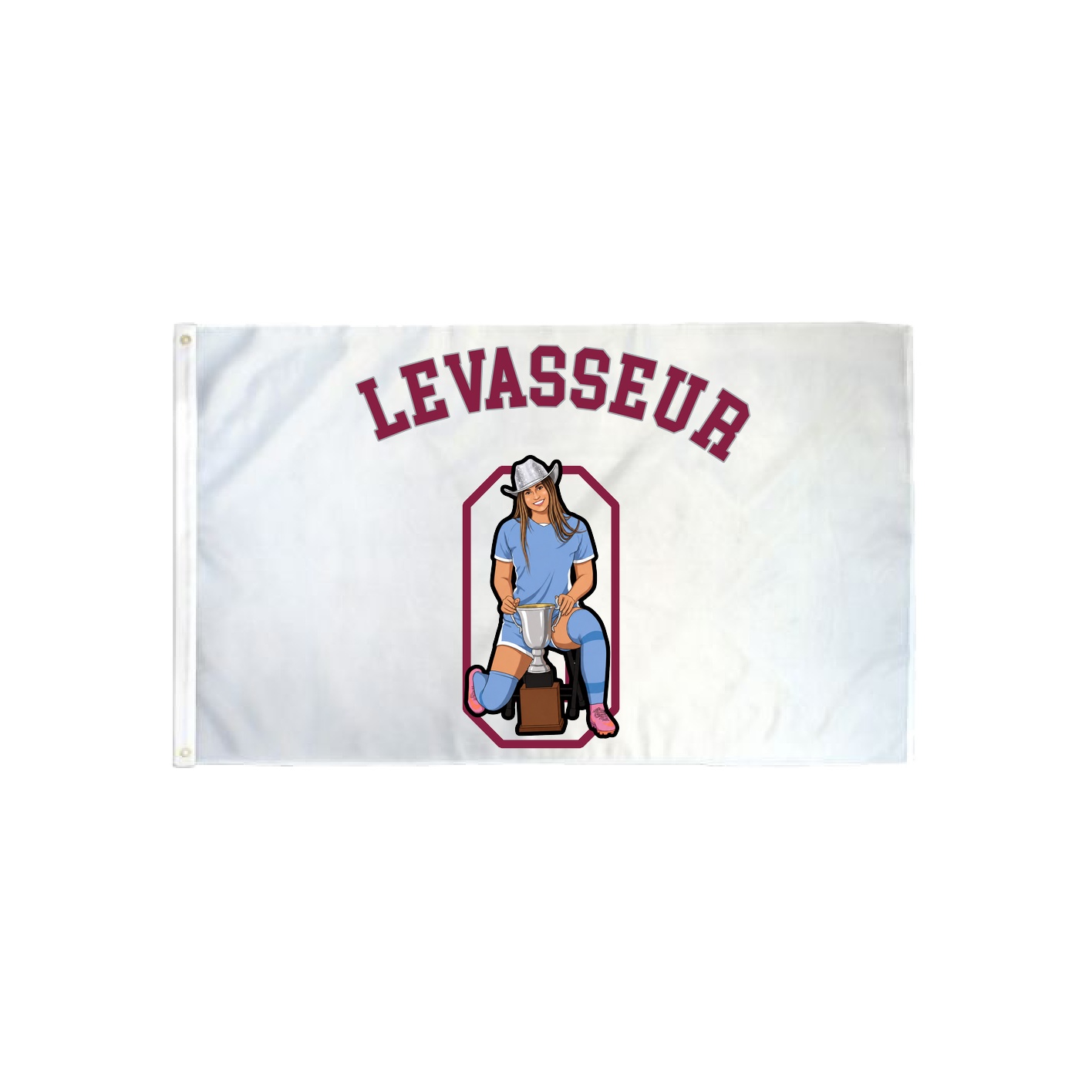 3x5 Flag — Shirsey Arch in Classic