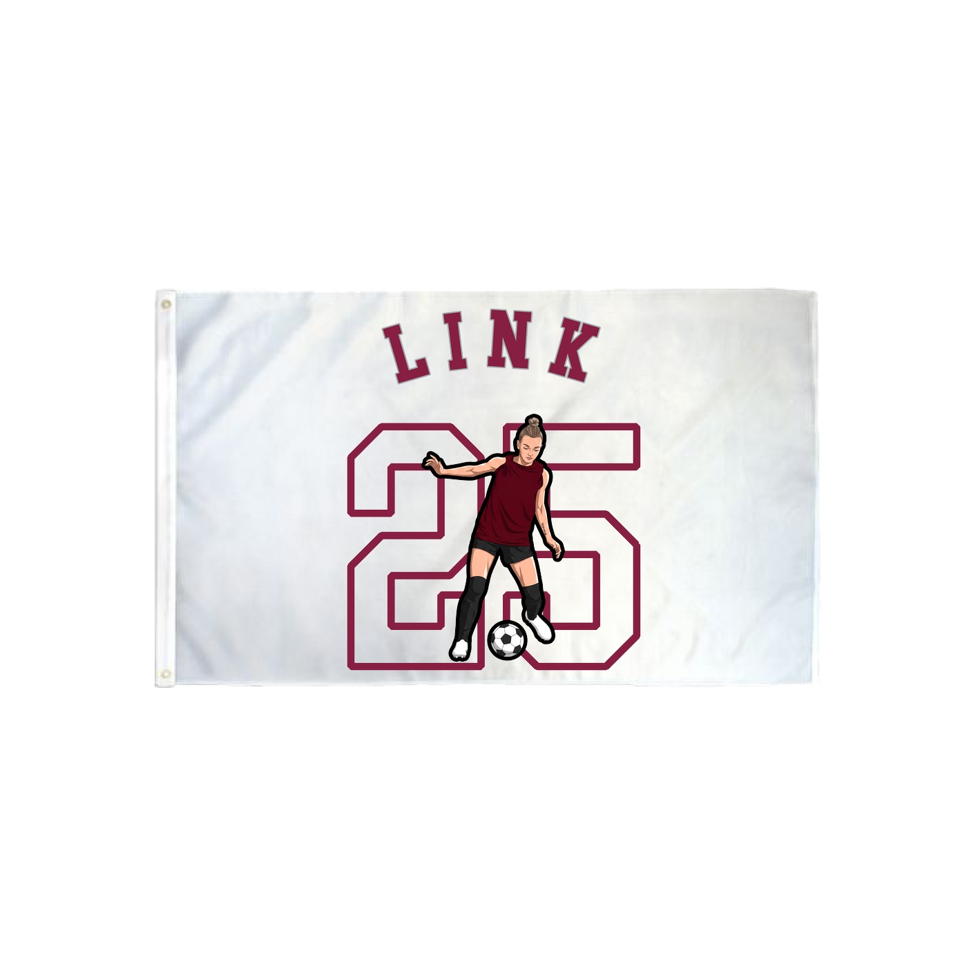 3x5 Flag — Shirsey Arch in Classic