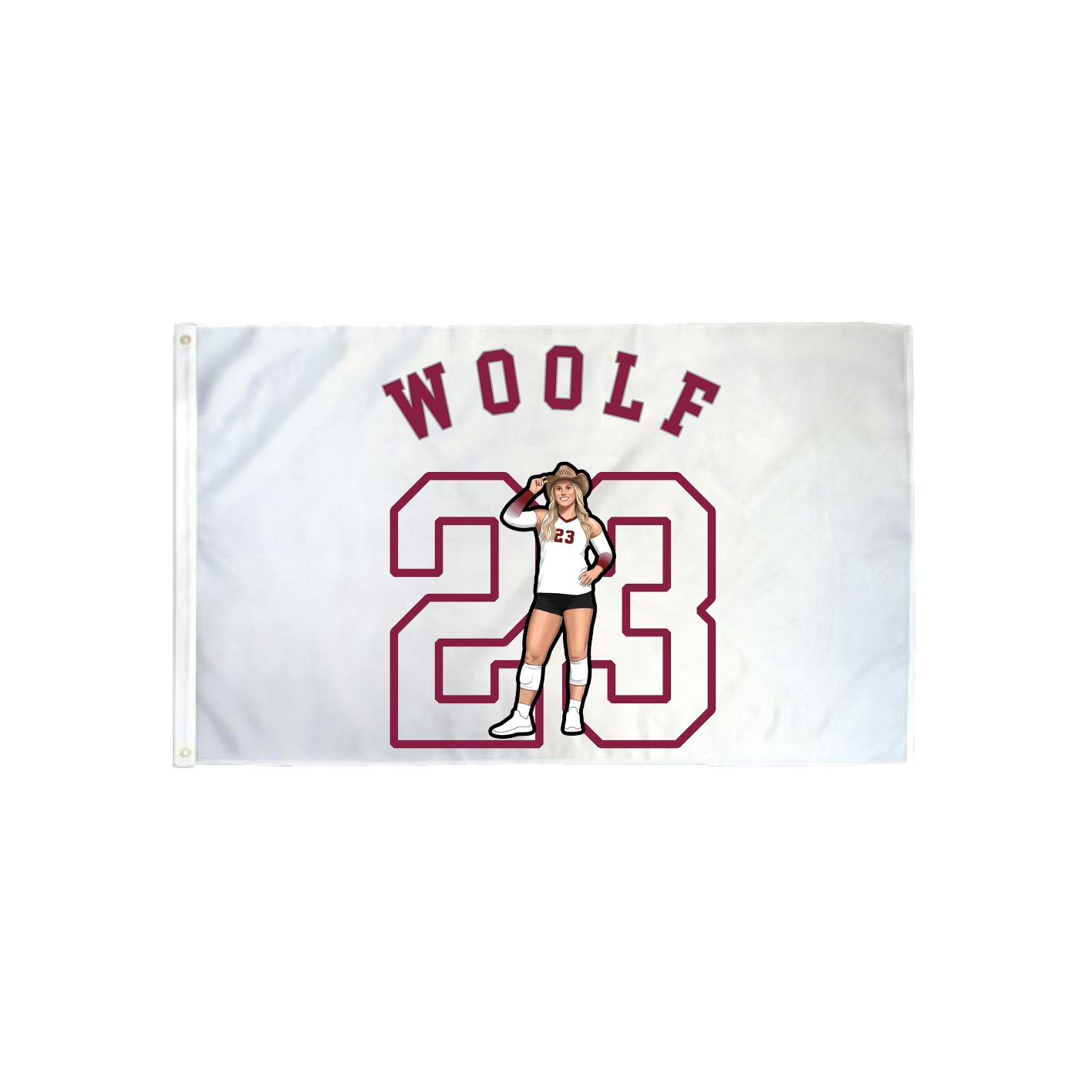 3x5 Flag — Shirsey Arch in Classic