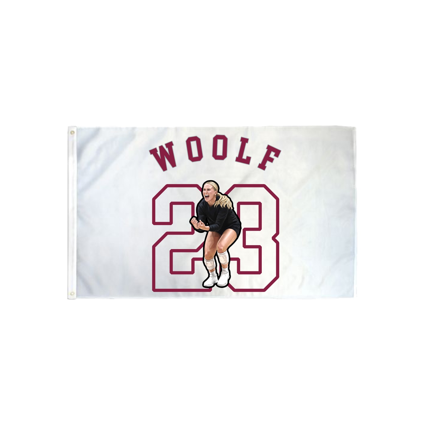 3x5 Flag — Shirsey Arch in Classic