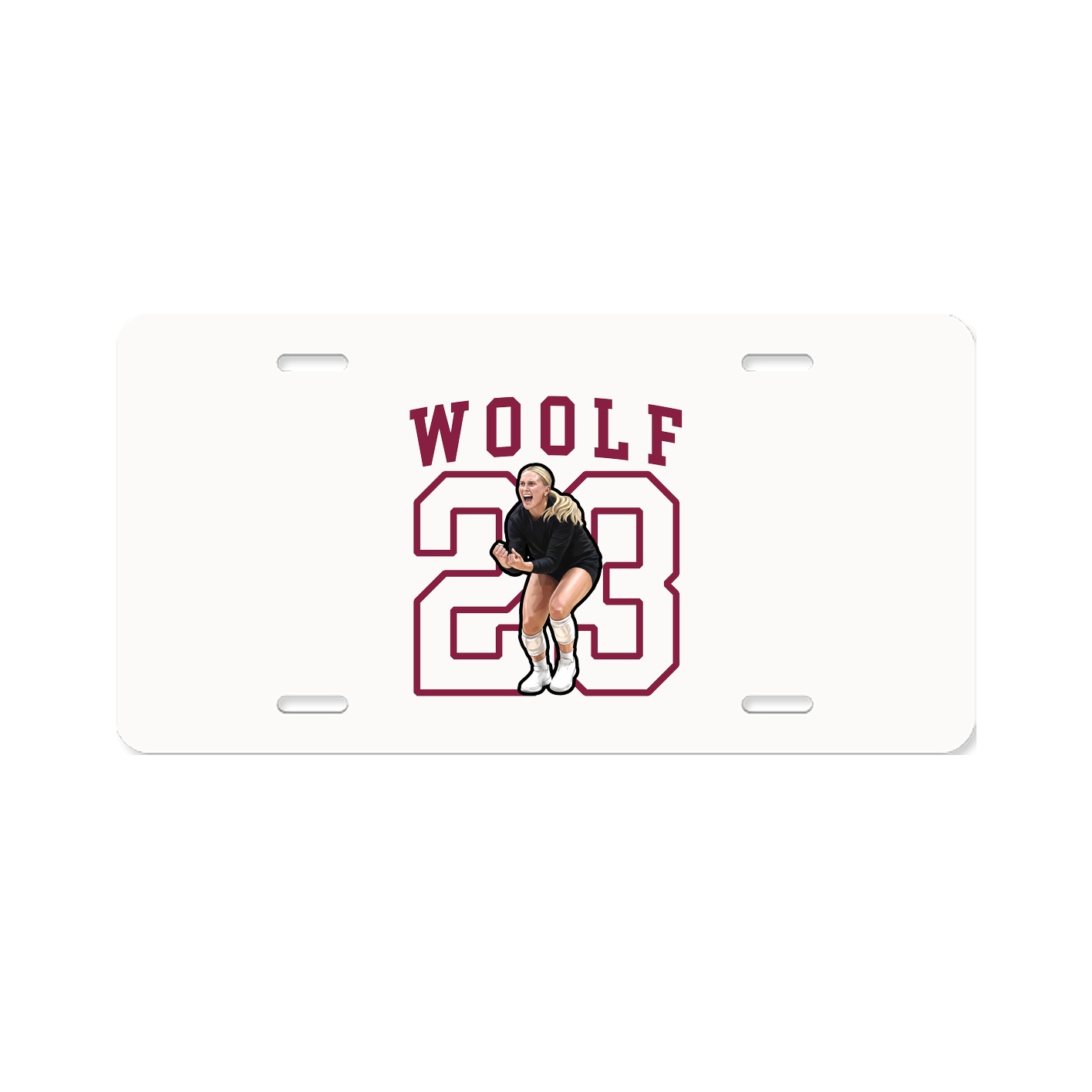 Aluminum License Plate