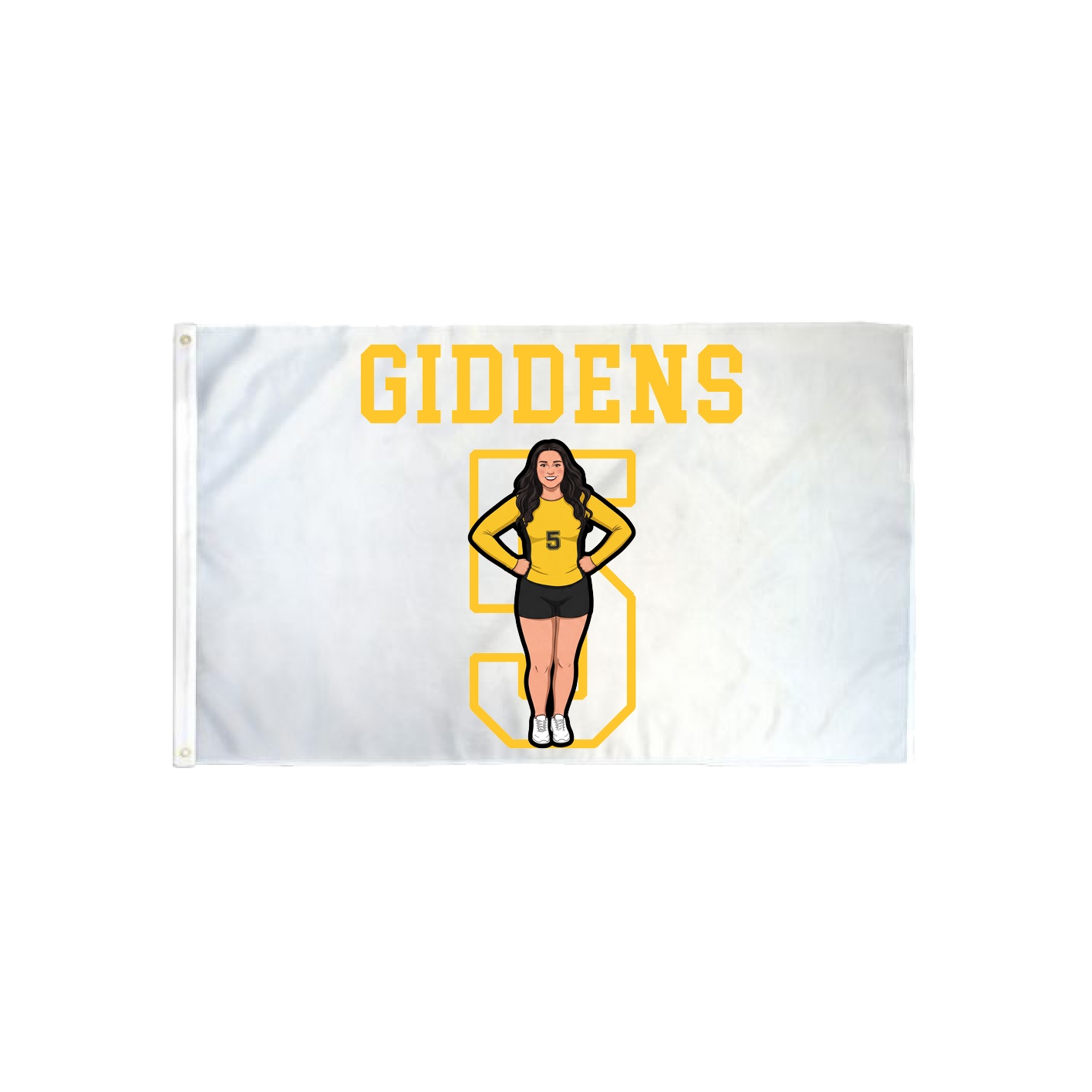 3x5 Flag — Shirsey in Classic