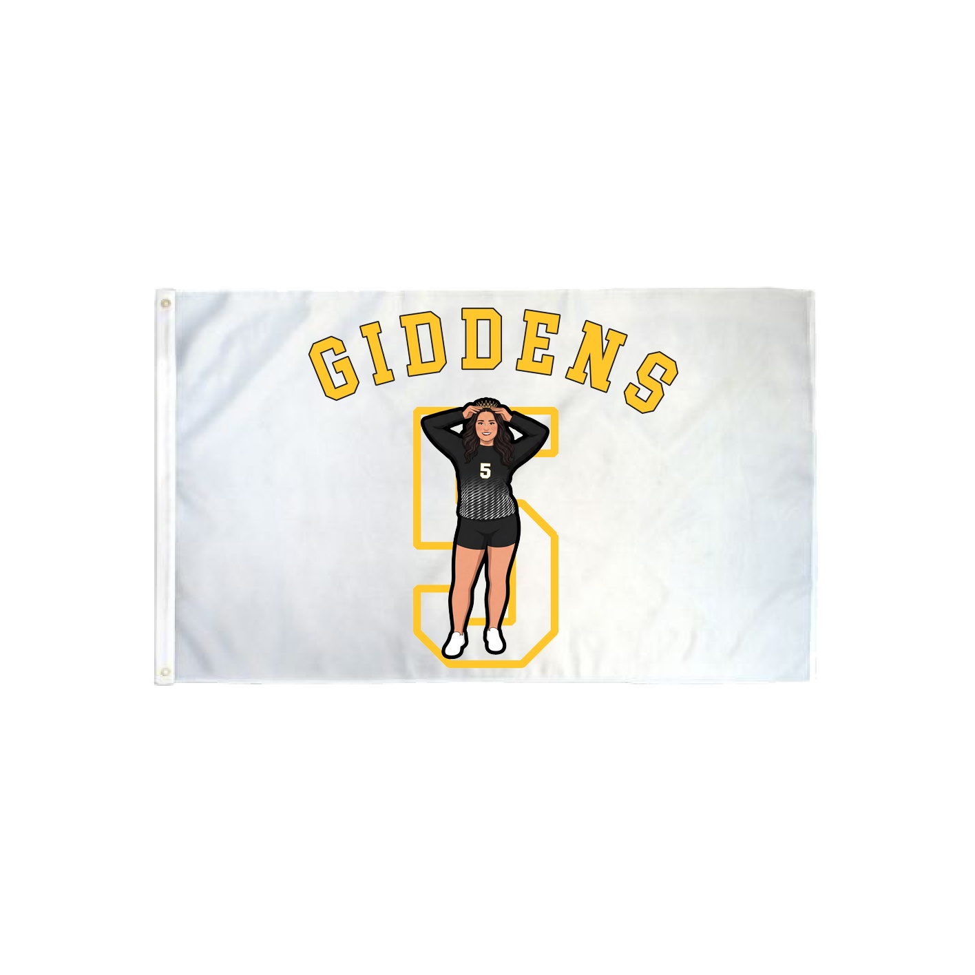 3x5 Flag — Shirsey Arch in Classic