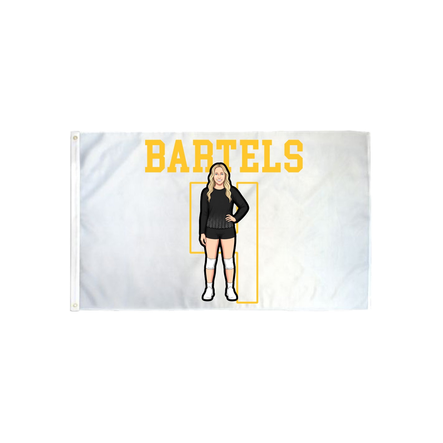 3x5 Flag — Shirsey in Classic