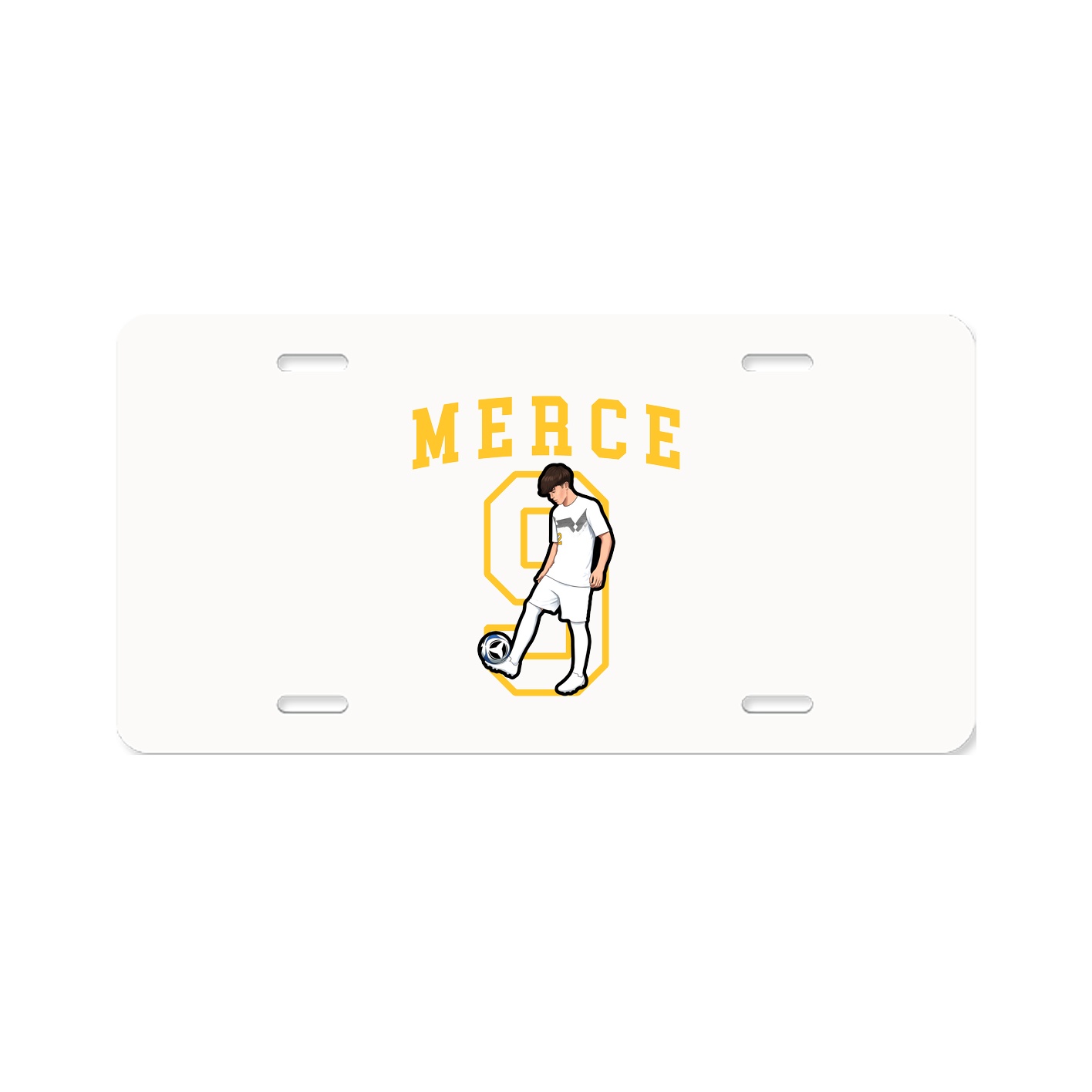 Aluminum License Plate