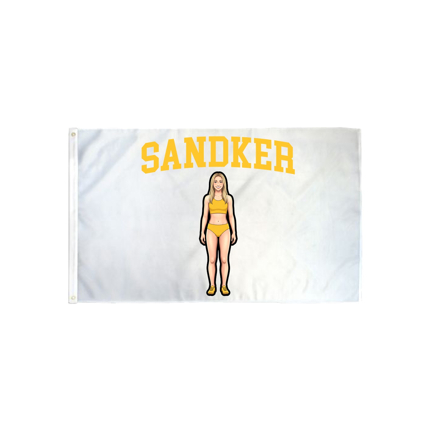 3x5 Flag — Shirsey in Classic