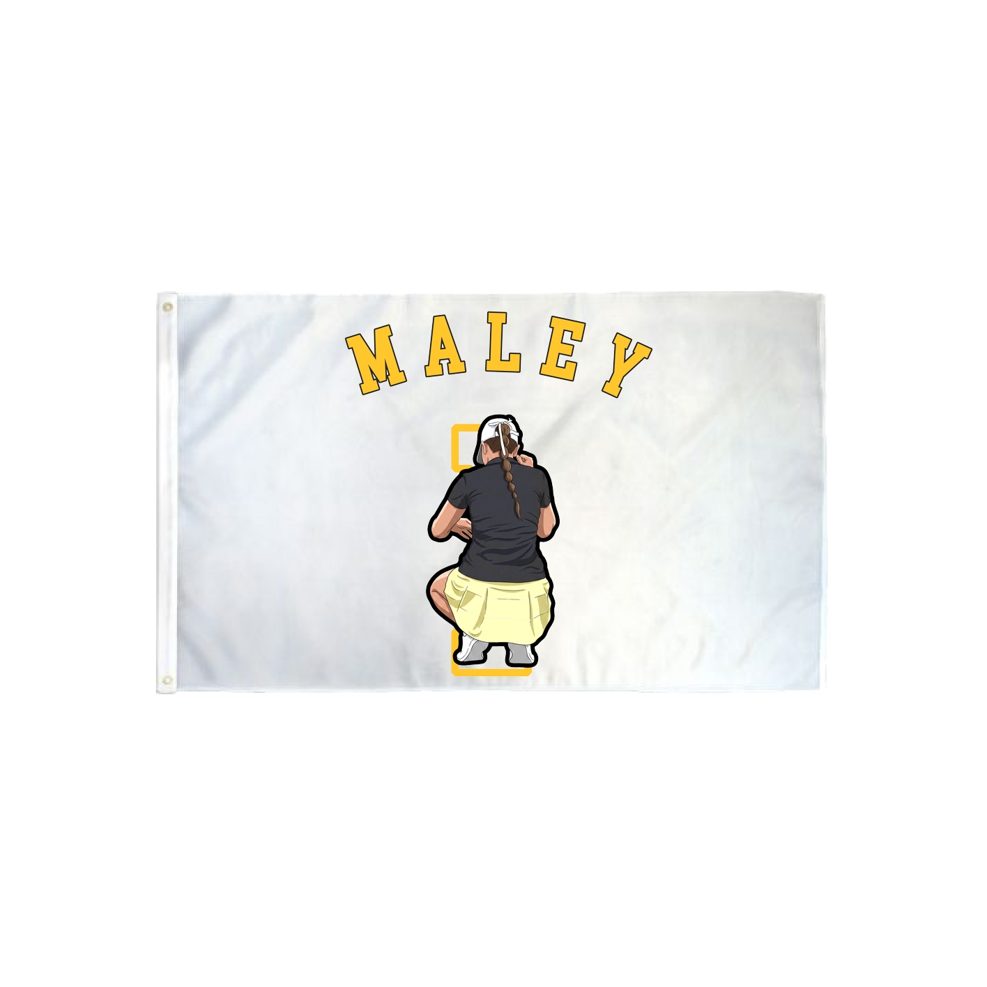 3x5 Flag — Shirsey Arch in Classic