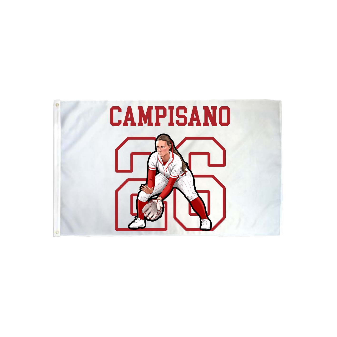 3x5 Flag — Shirsey in Classic