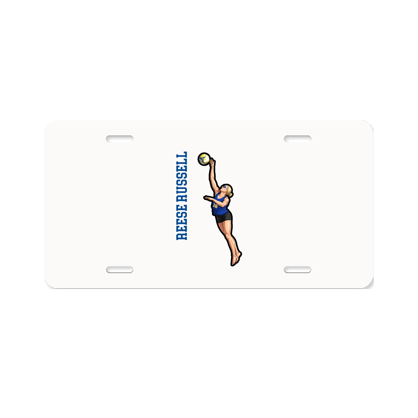License Plate