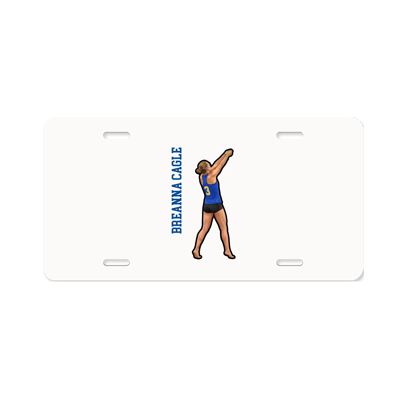 License Plate