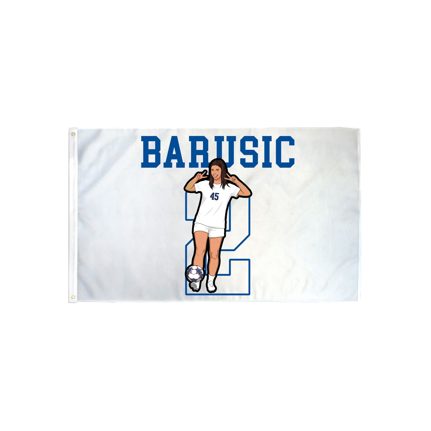 3x5 Flag — Shirsey in Classic