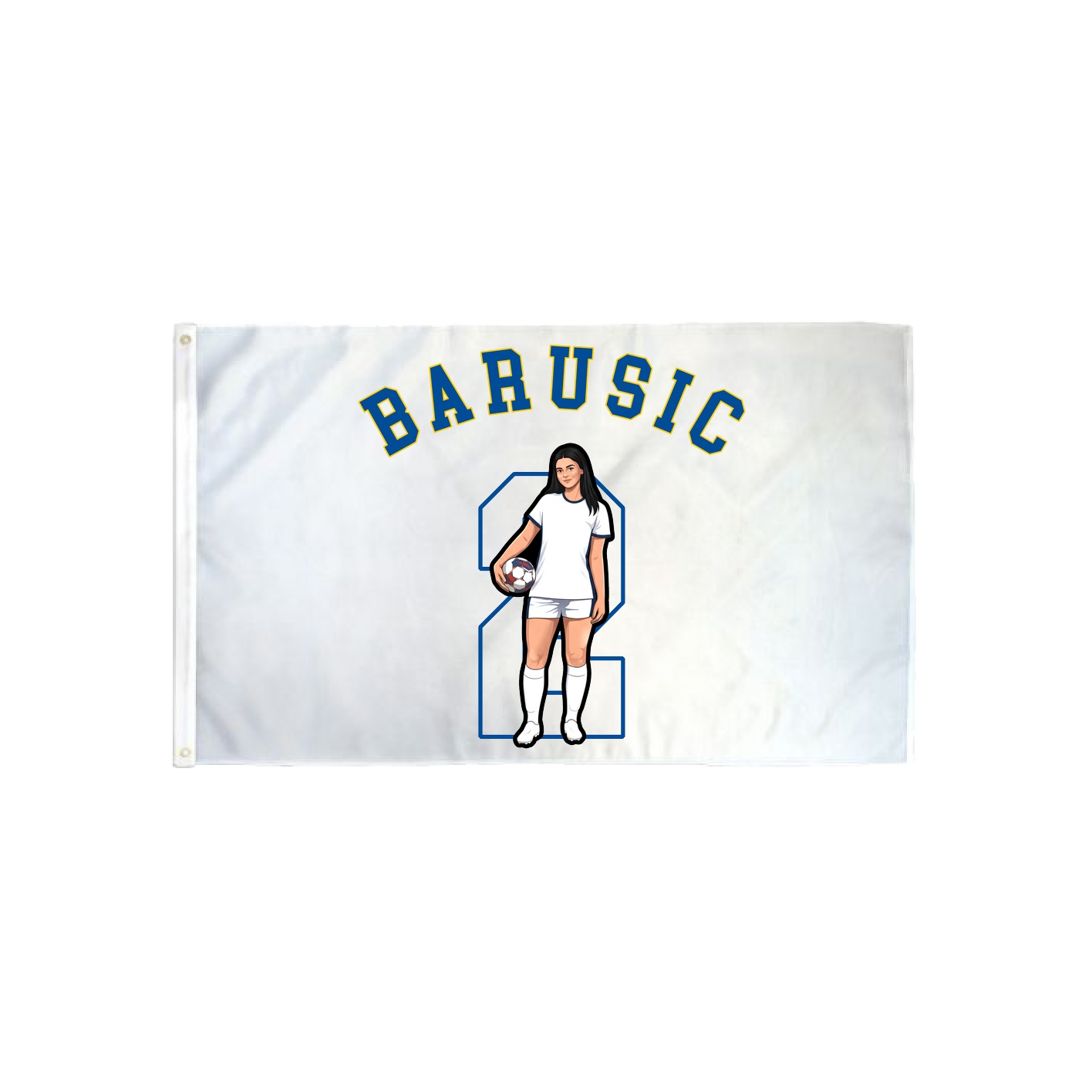 3x5 Flag — Shirsey Arch in Classic