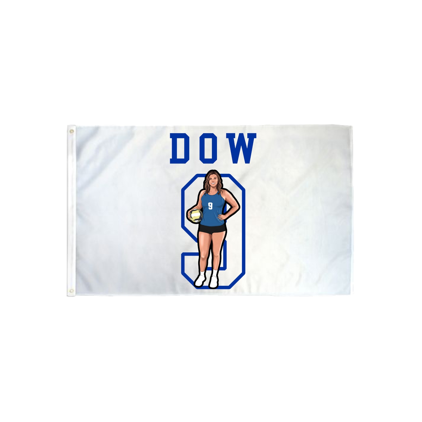 3x5 Flag — Shirsey in Classic