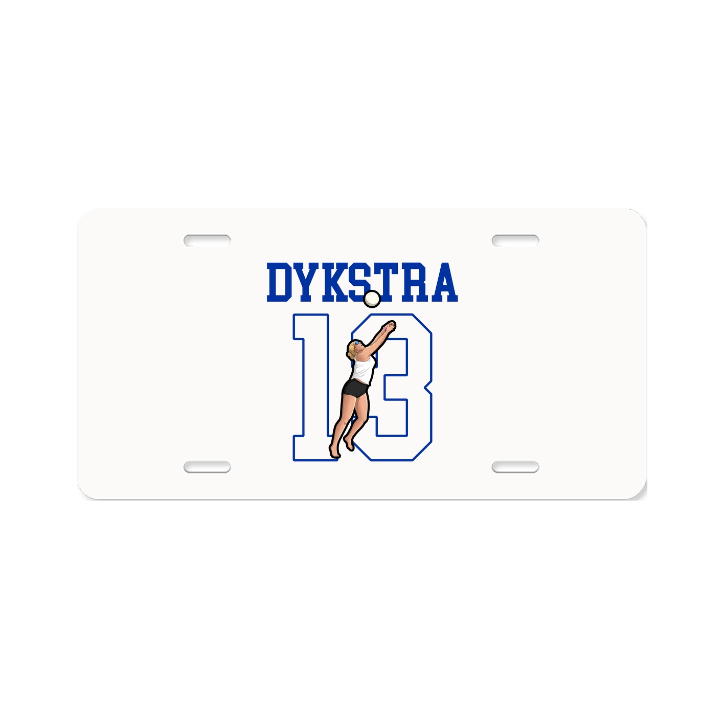 License Plate