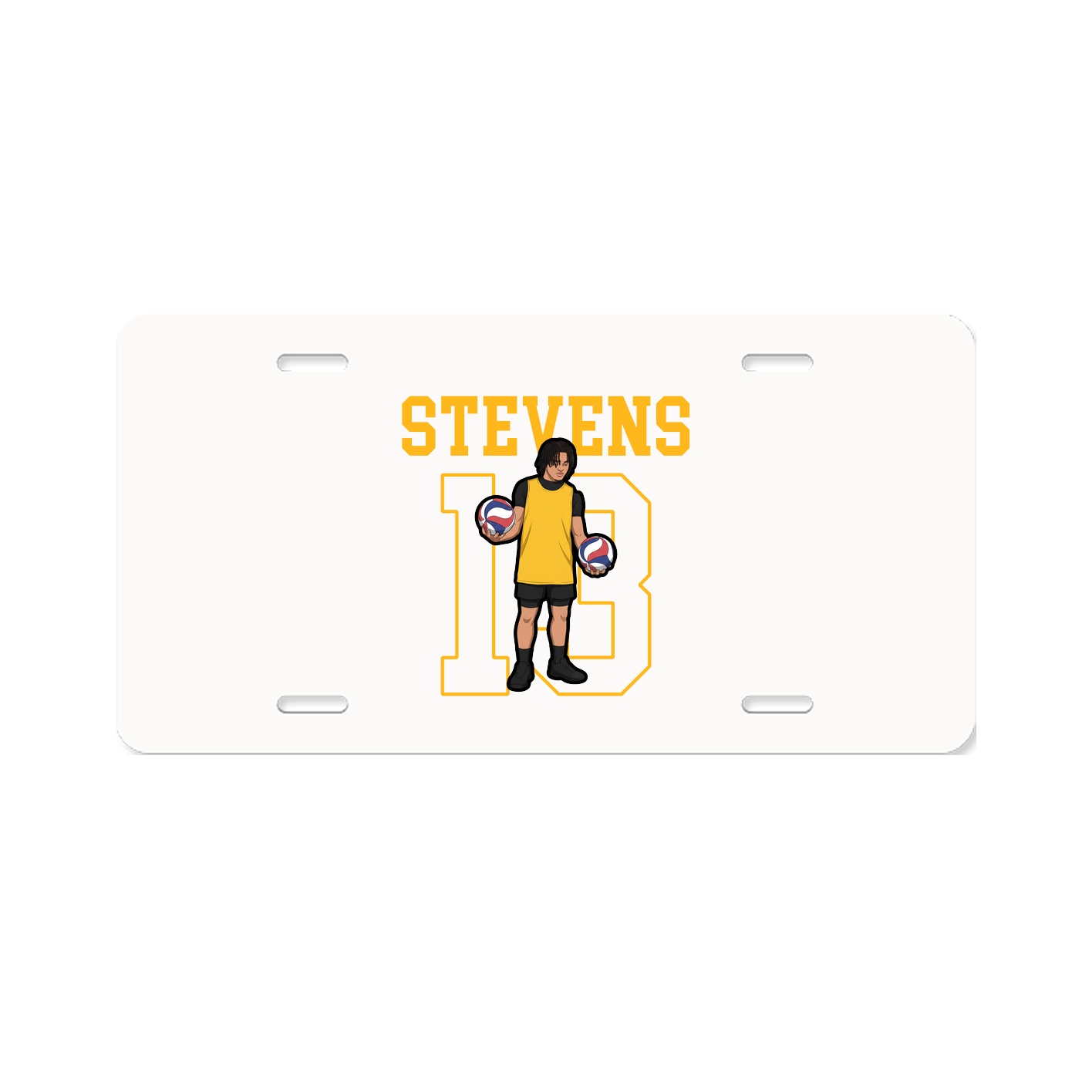License Plate