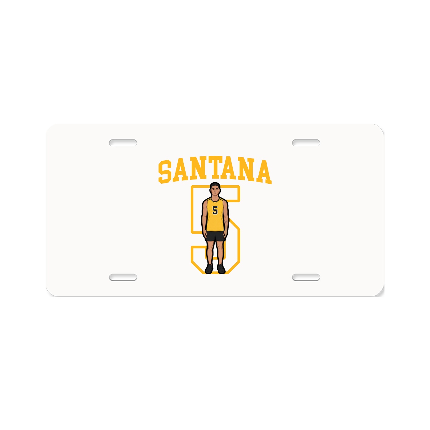 Aluminum License Plate