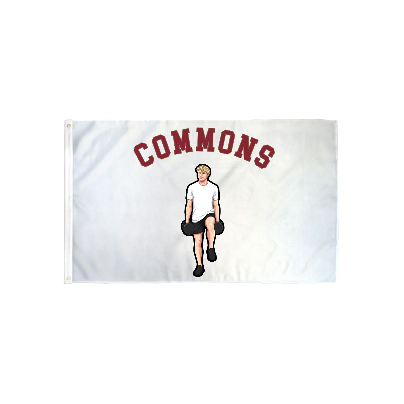 3x5 Flag — Shirsey Arch in Classic