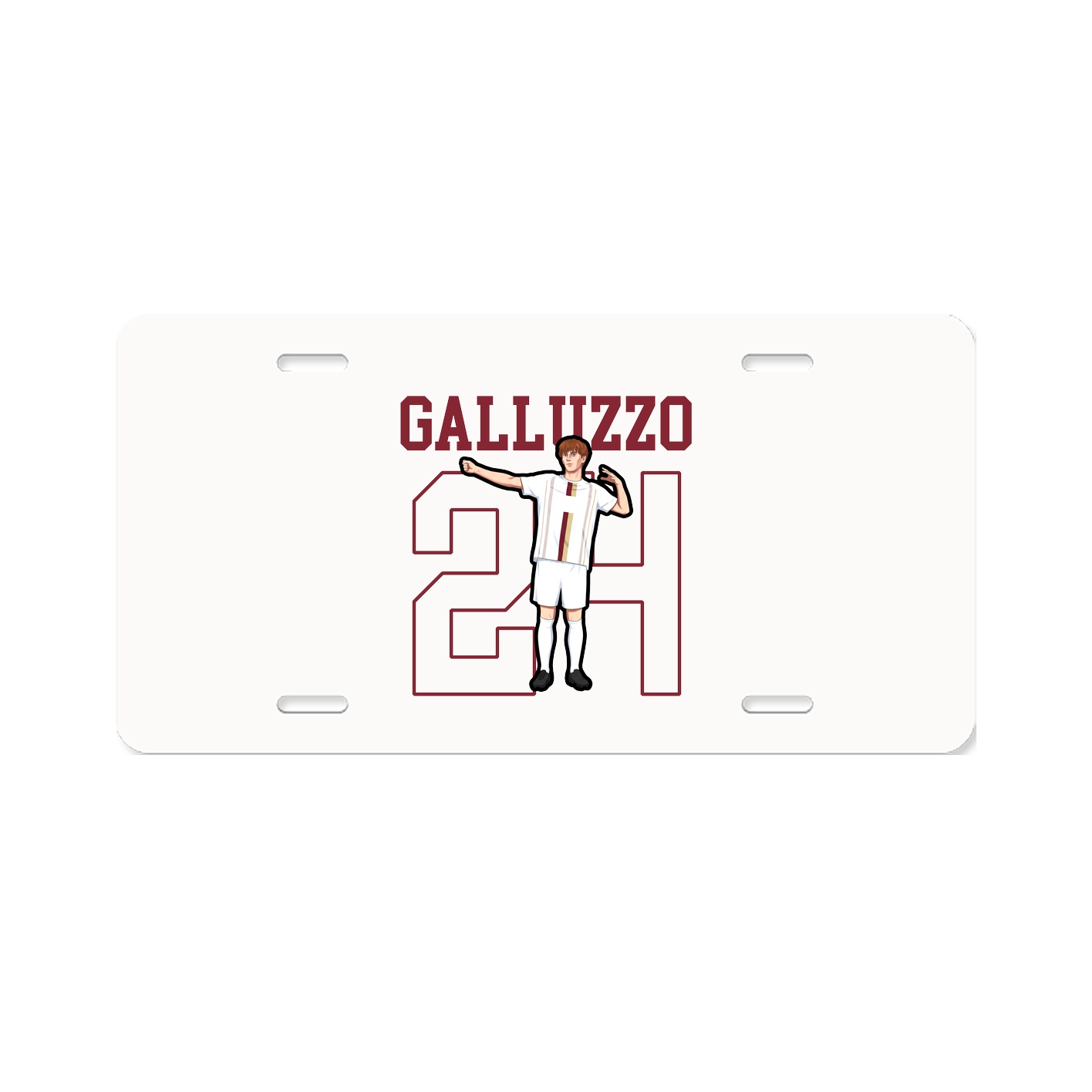 Aluminum License Plate