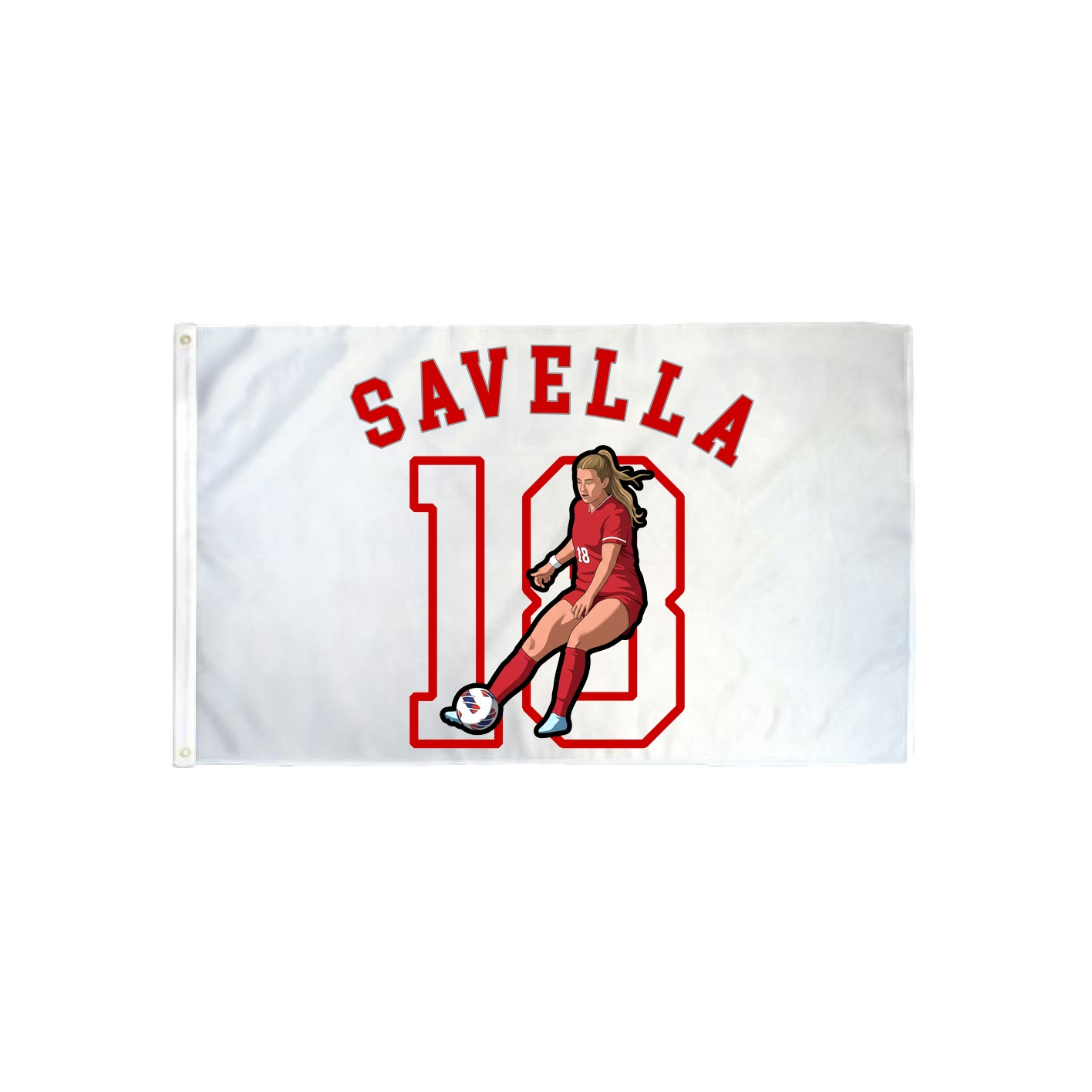 3x5 Flag — Shirsey Arch in Classic