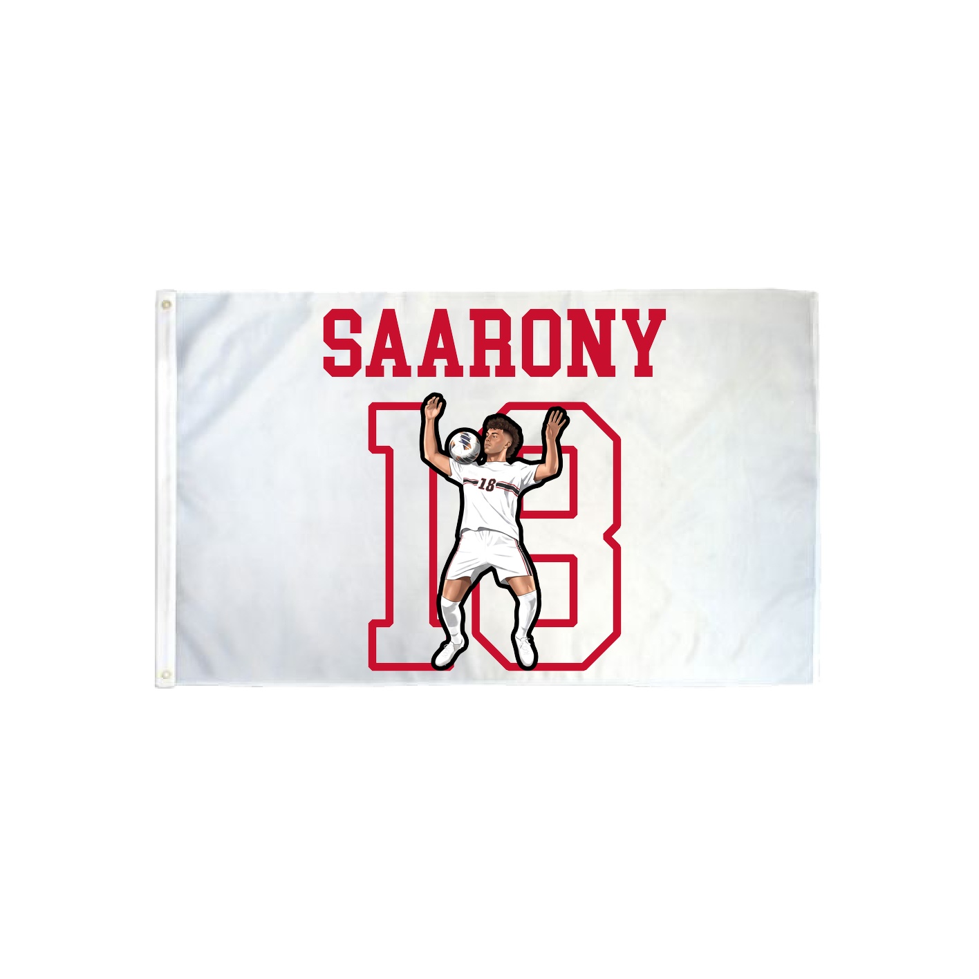 3x5 Flag — Shirsey in Classic