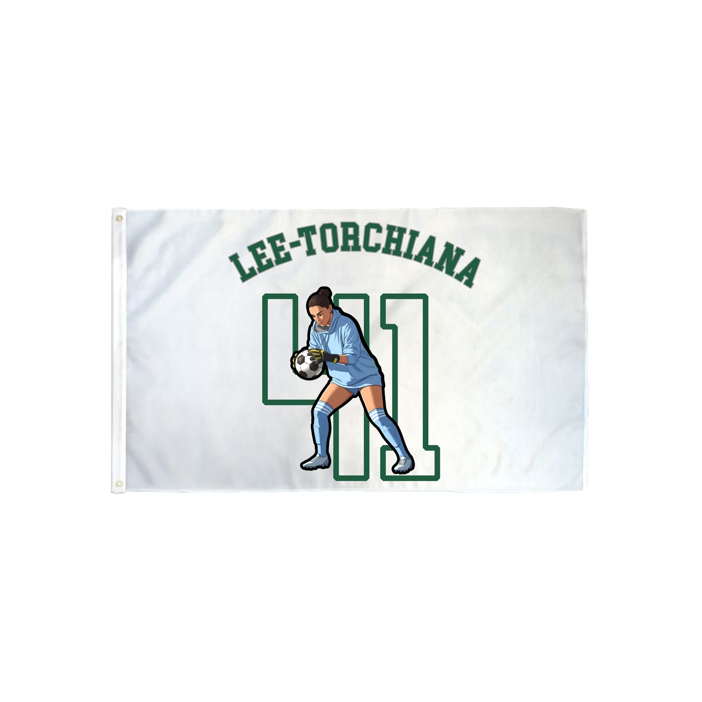 3x5 Flag — Shirsey Arch in Classic