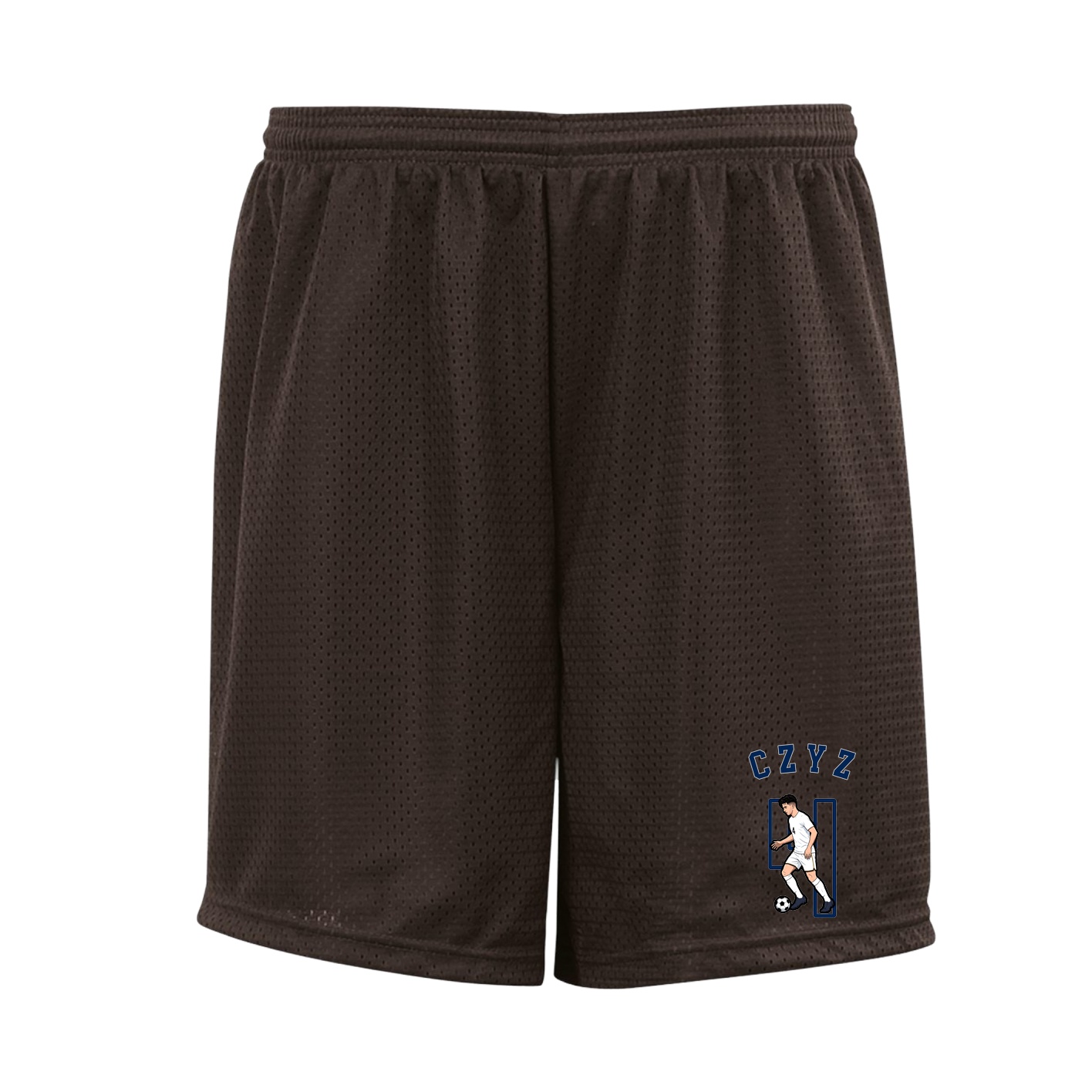 Shorts — Shirsey Arch in Brown