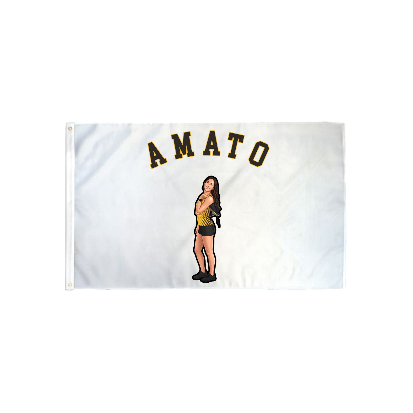3x5 Flag — Shirsey Arch in Classic