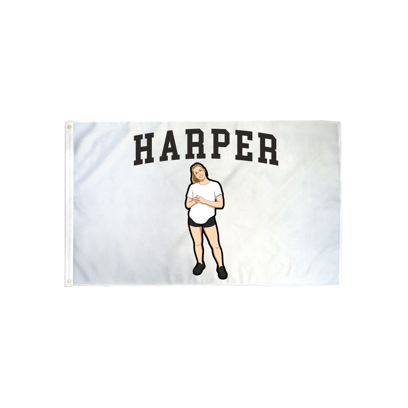 3x5 Flag — Shirsey in Classic