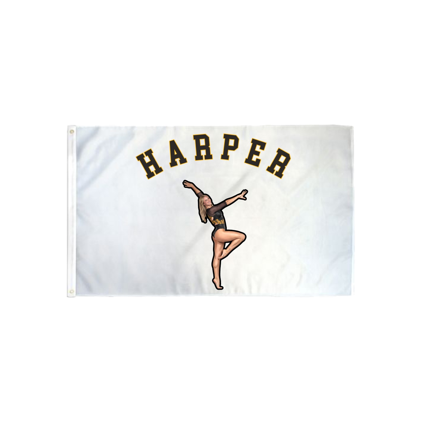 3x5 Flag — Shirsey Arch in Classic