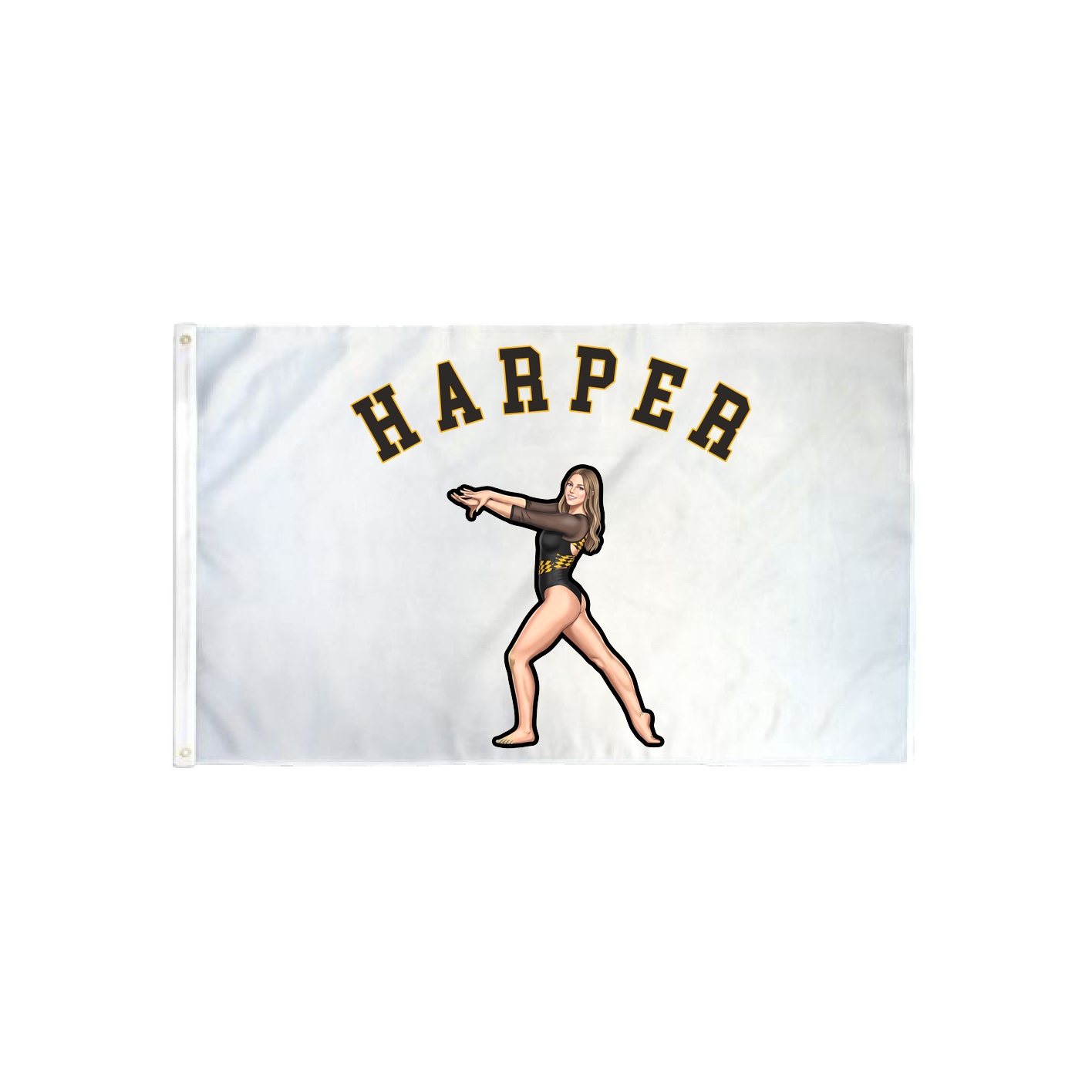 3x5 Flag — Shirsey Arch in Classic