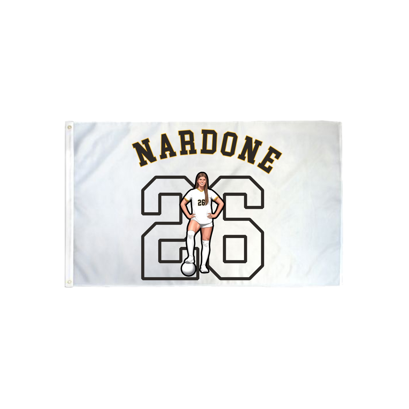 3x5 Flag — Shirsey Arch in Classic